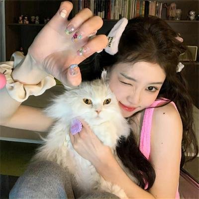 猫和老鼠旧版